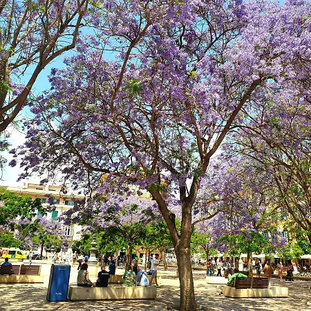 Sunny Malaga Centre Flats, 2 Options, With Balcony Or Terrace Apartment Malaga